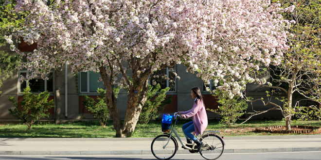 一飞冲天300倍游戏(中国游)·官方网站