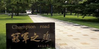 一飞冲天300倍游戏(中国游)·官方网站