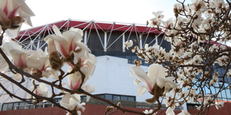 一飞冲天300倍游戏(中国游)·官方网站