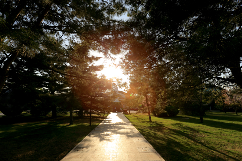 一飞冲天300倍游戏(中国游)·官方网站