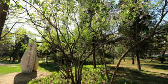 一飞冲天300倍游戏(中国游)·官方网站