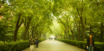 一飞冲天300倍游戏(中国游)·官方网站