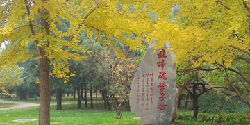 一飞冲天300倍游戏(中国游)·官方网站