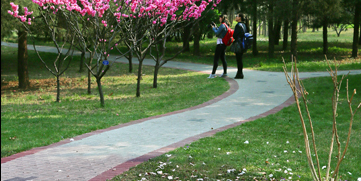 一飞冲天300倍游戏(中国游)·官方网站