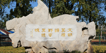 一飞冲天300倍游戏(中国游)·官方网站