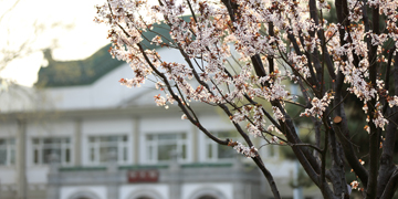 一飞冲天300倍游戏(中国游)·官方网站