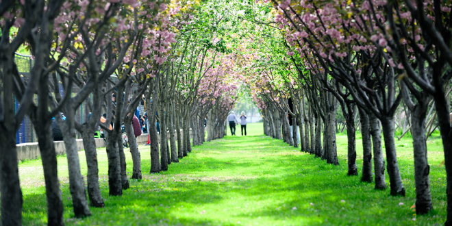 一飞冲天300倍游戏(中国游)·官方网站