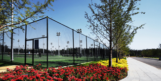 一飞冲天300倍游戏(中国游)·官方网站