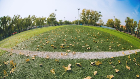 一飞冲天300倍游戏(中国游)·官方网站