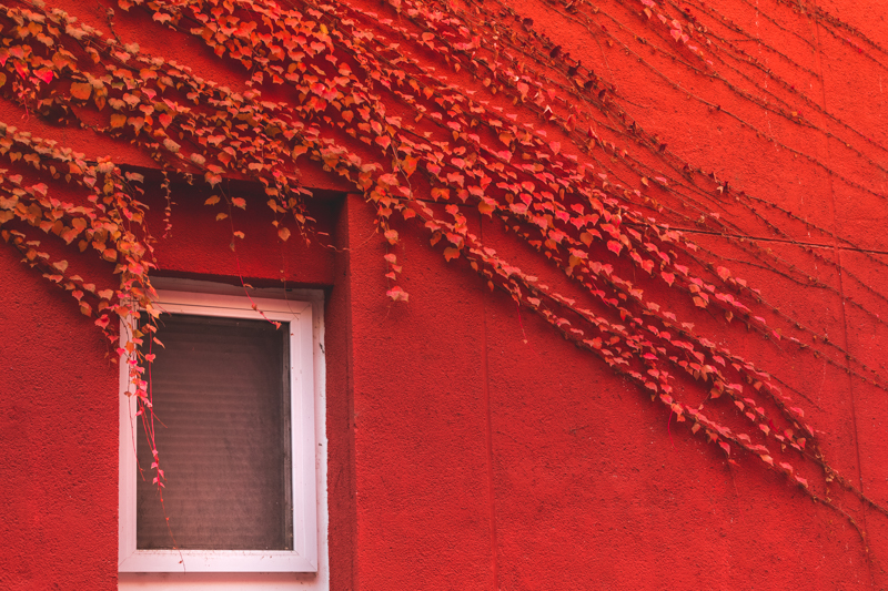 一飞冲天300倍游戏(中国游)·官方网站