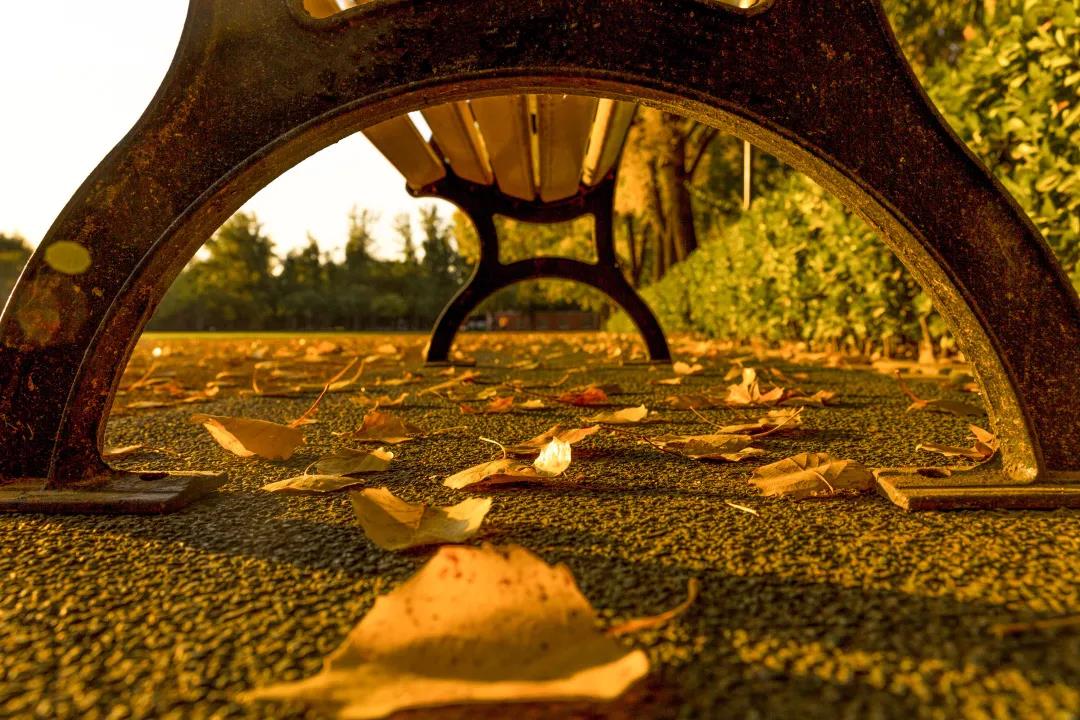 一飞冲天300倍游戏(中国游)·官方网站