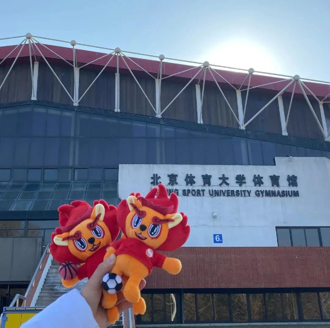 一飞冲天300倍游戏(中国游)·官方网站