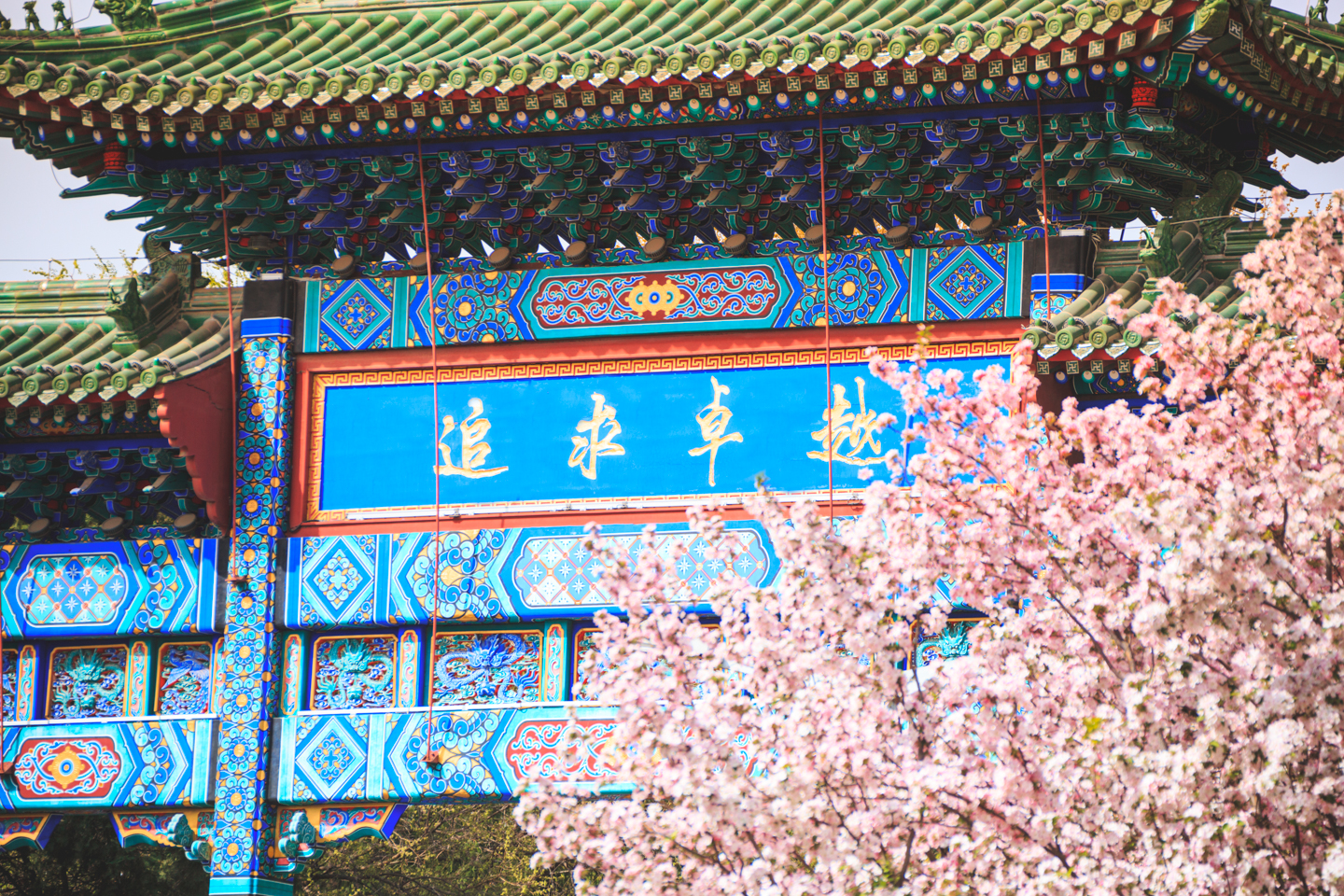 一飞冲天300倍游戏(中国游)·官方网站