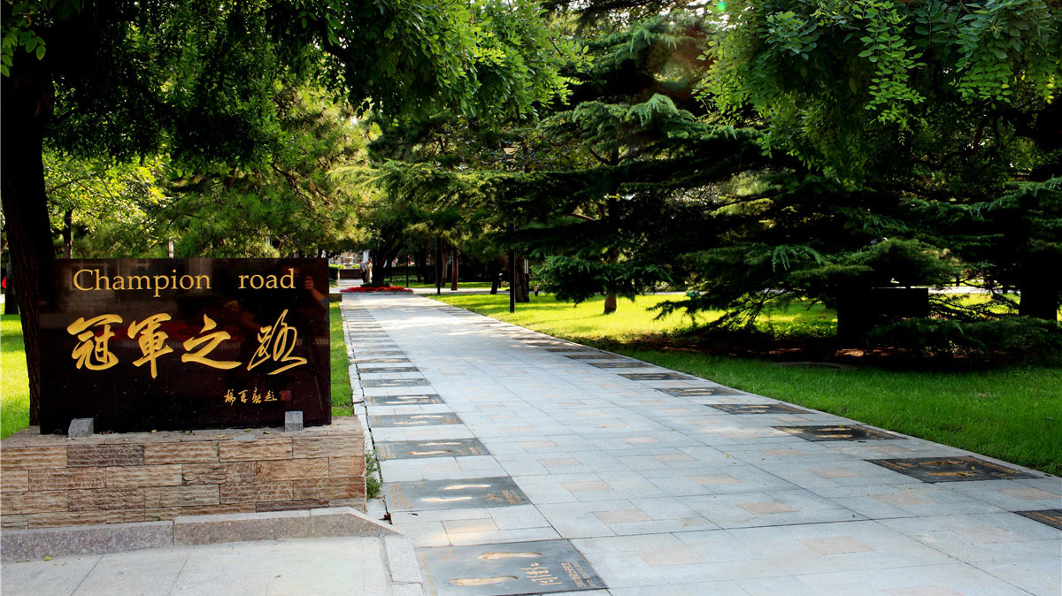 一飞冲天300倍游戏(中国游)·官方网站