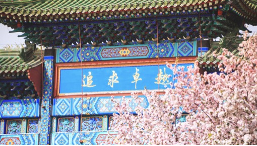 一飞冲天300倍游戏(中国游)·官方网站