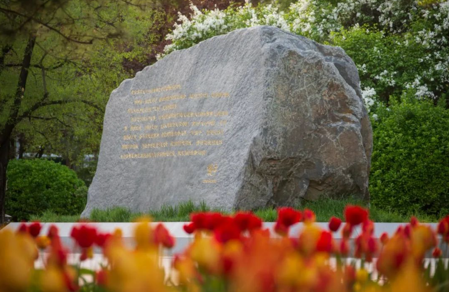 一飞冲天300倍游戏(中国游)·官方网站