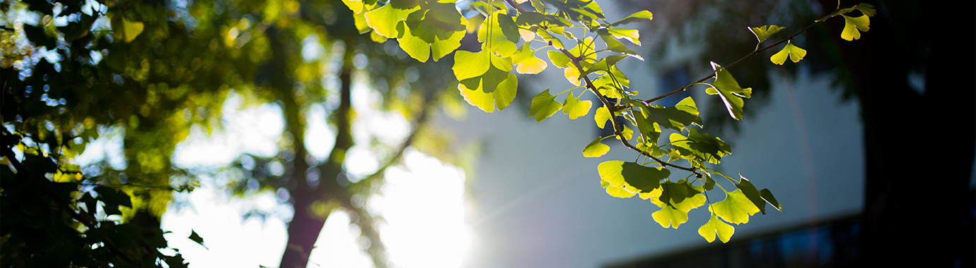 一飞冲天300倍游戏(中国游)·官方网站